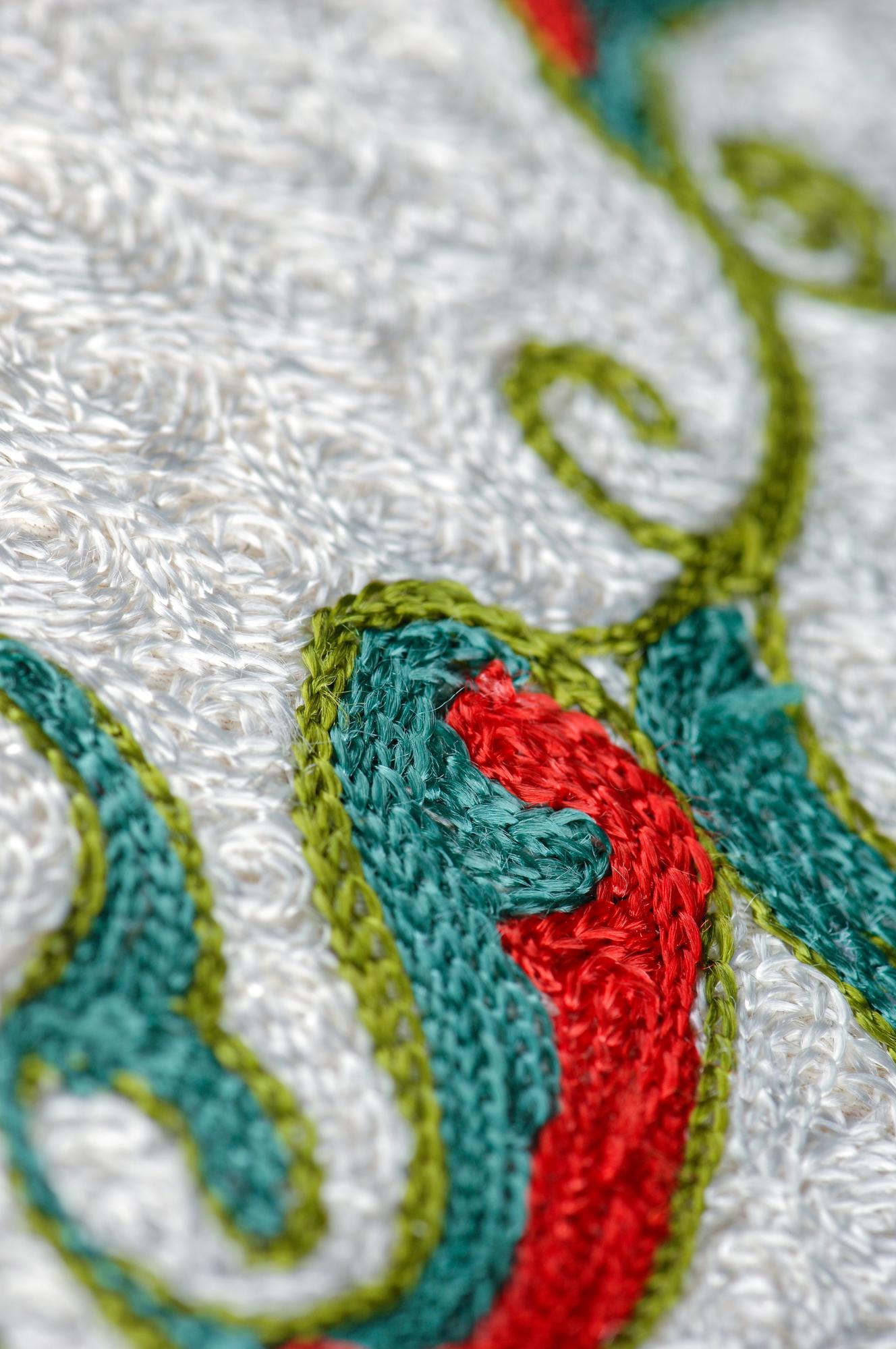 Broderie detaliu pe pânză albă